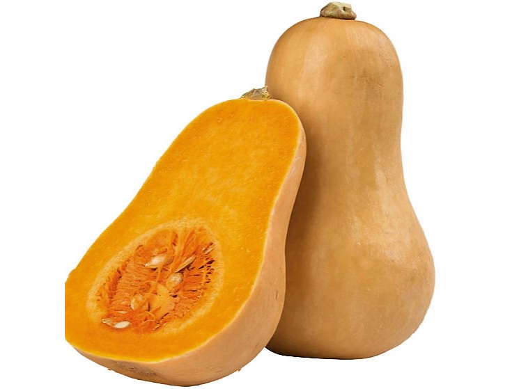 calabacin anco
