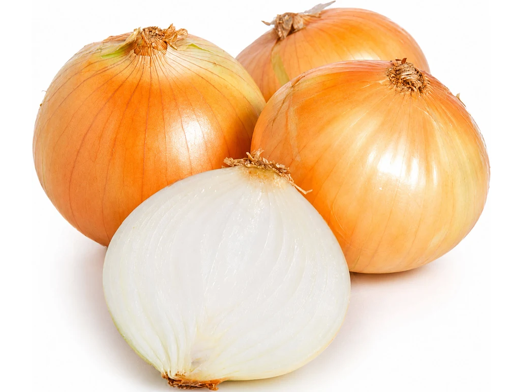 cebolla