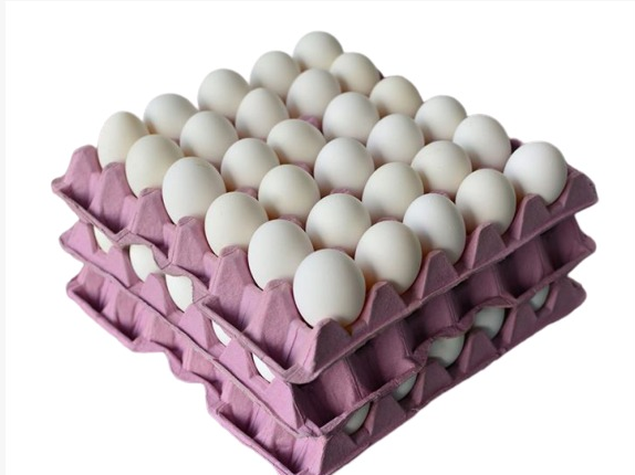 promo huevos económicos
