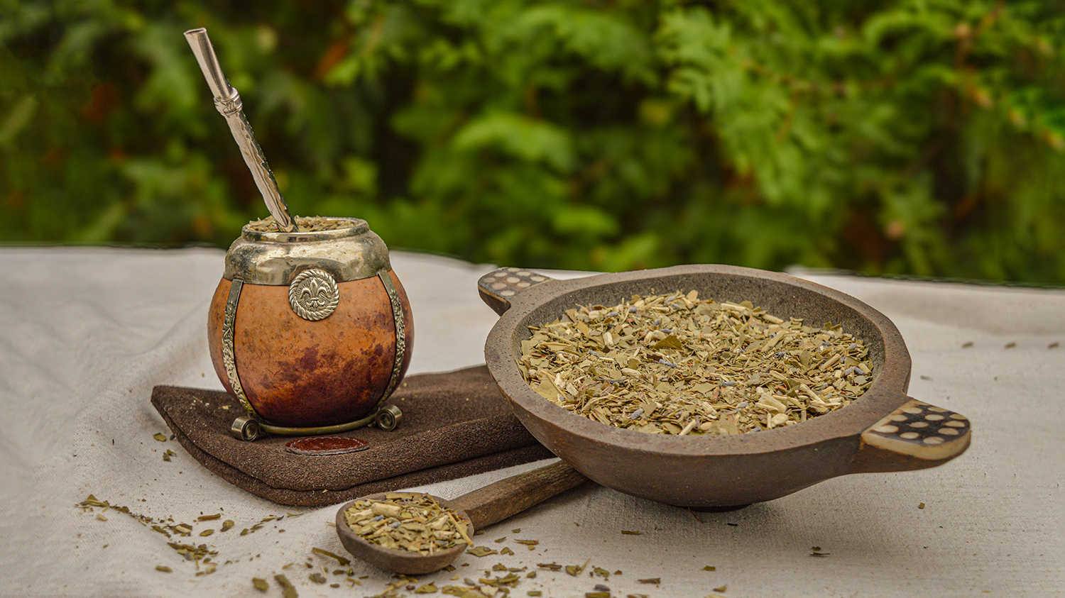 Yerba mate