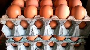 HUEVOS