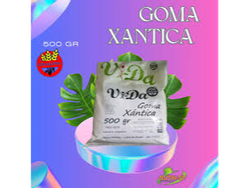Goma xantica