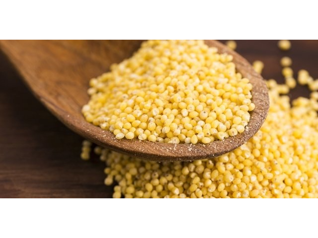 Semillas Mijo pelado x 100 gr