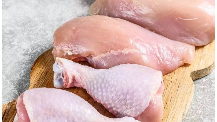 Pollo