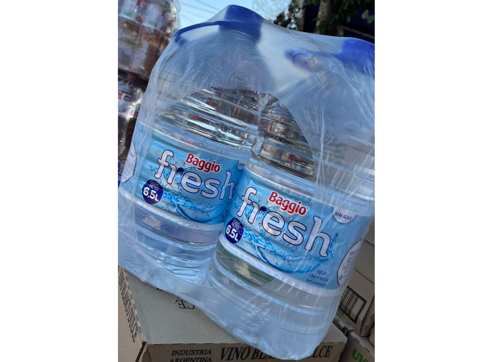 FRESH BIDON X2 UNIDADES 6.5LT