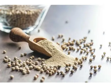 PIMIENTA PLANCA PIZZERA