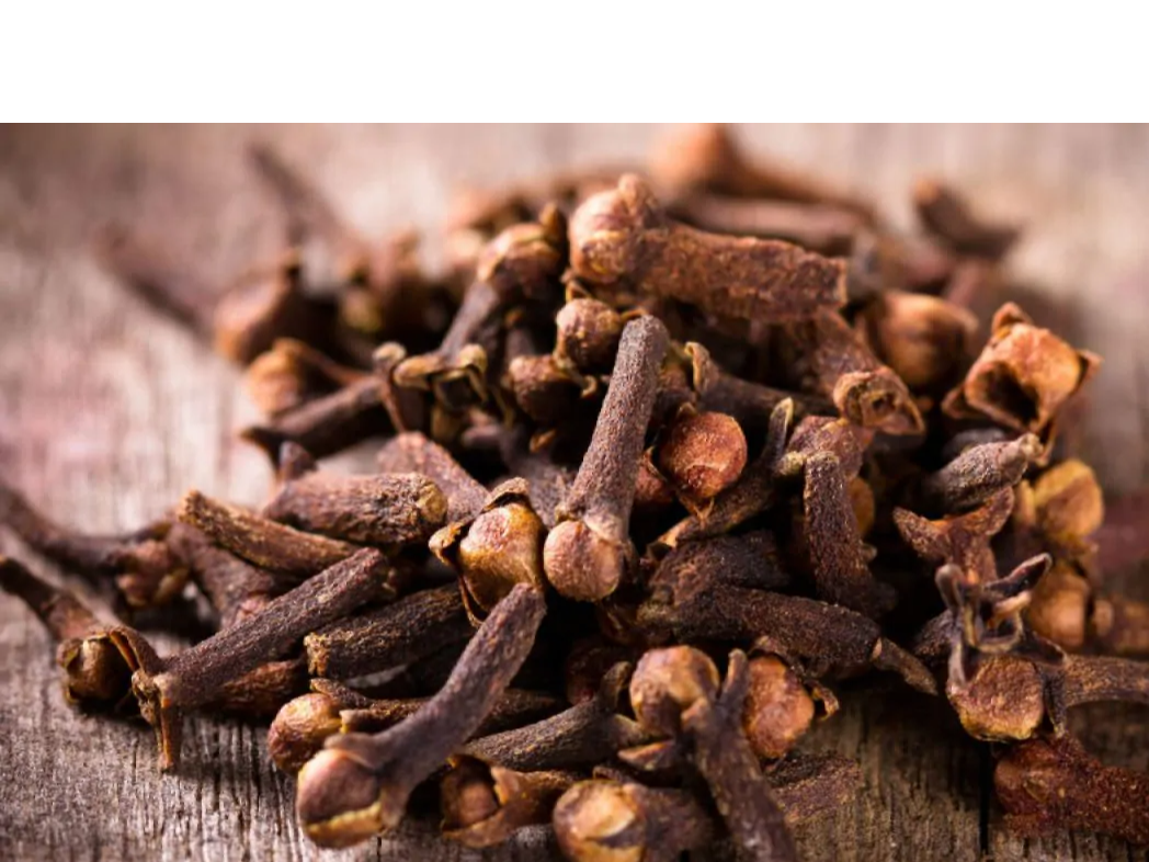 clavo de olor
