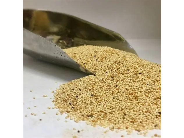 semilla de amaranto - paq. 1kg