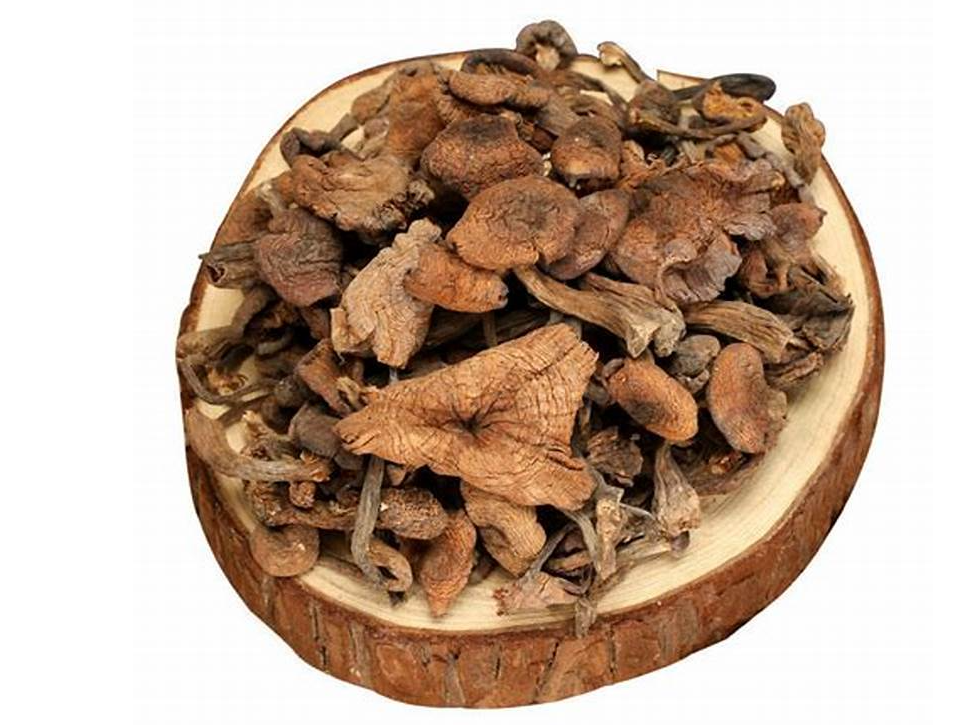 HONGOS SECOS - PAQ. 500 GRS