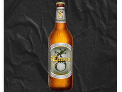 Iguana Retornable 1l