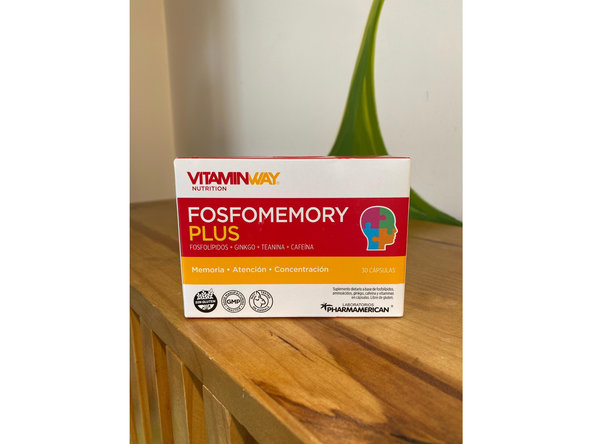 FOSFOMEMORY PLUS (VITAMINWAY)