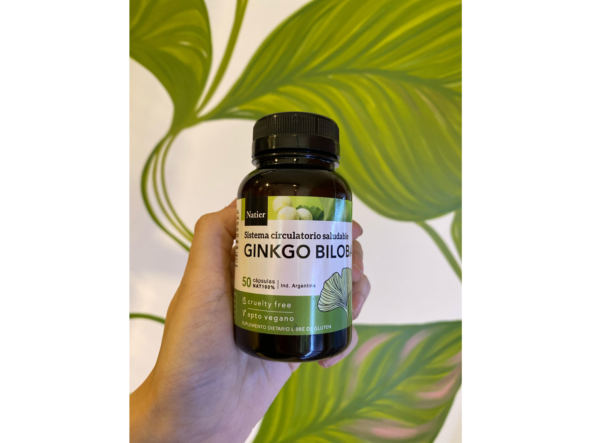 GINKGO BILOBA (NATIER)