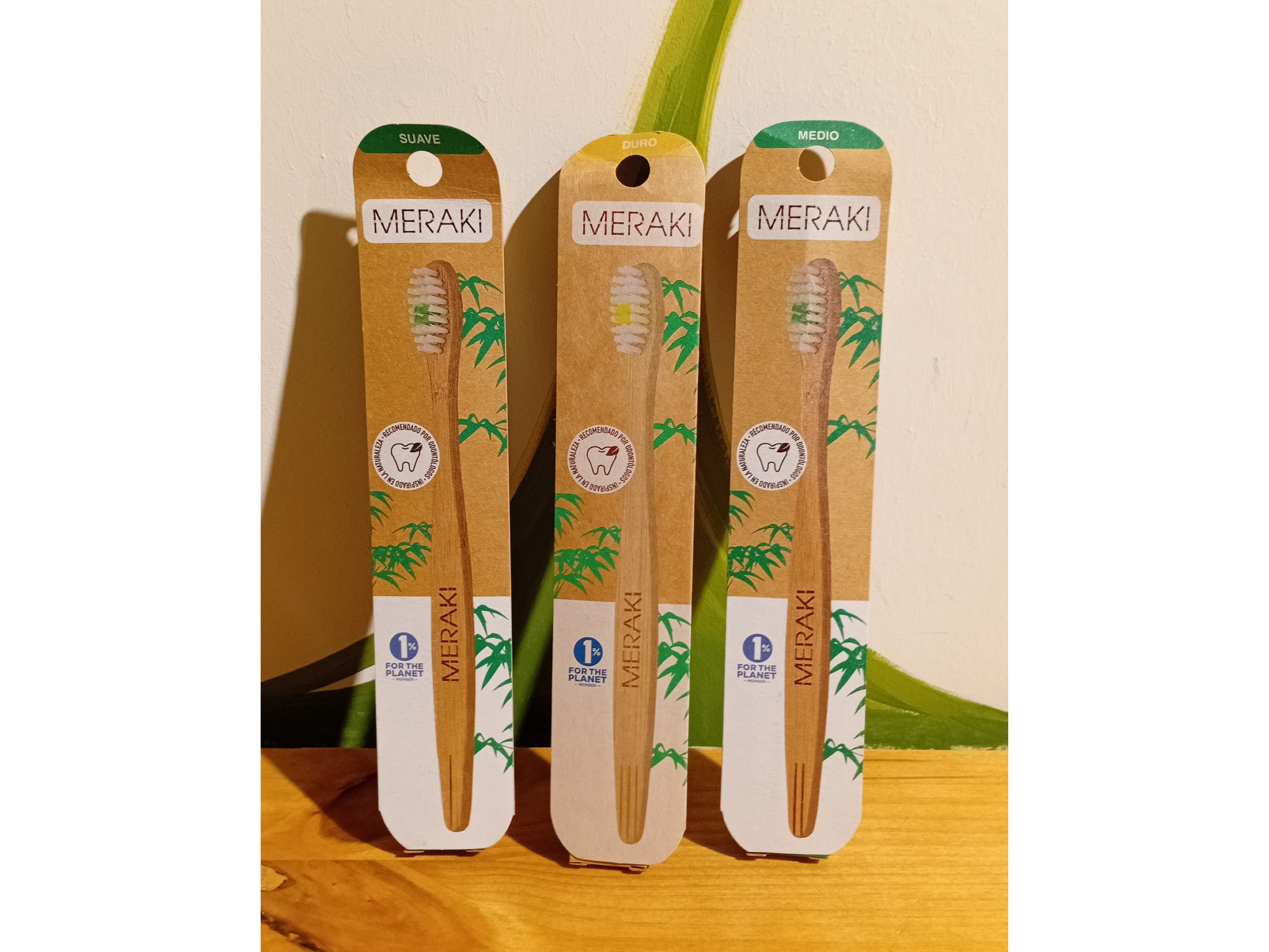 CEPILLO DENTAL (MERAKI)
