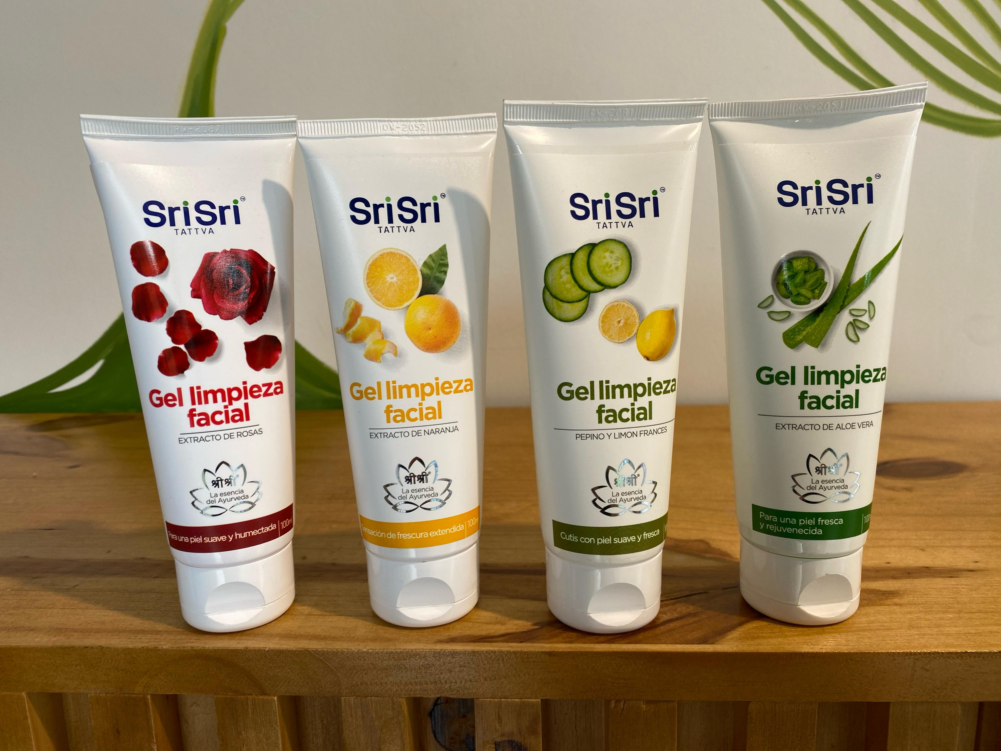 GEL DE LIMPIEZA FACIAL (SRISRI)