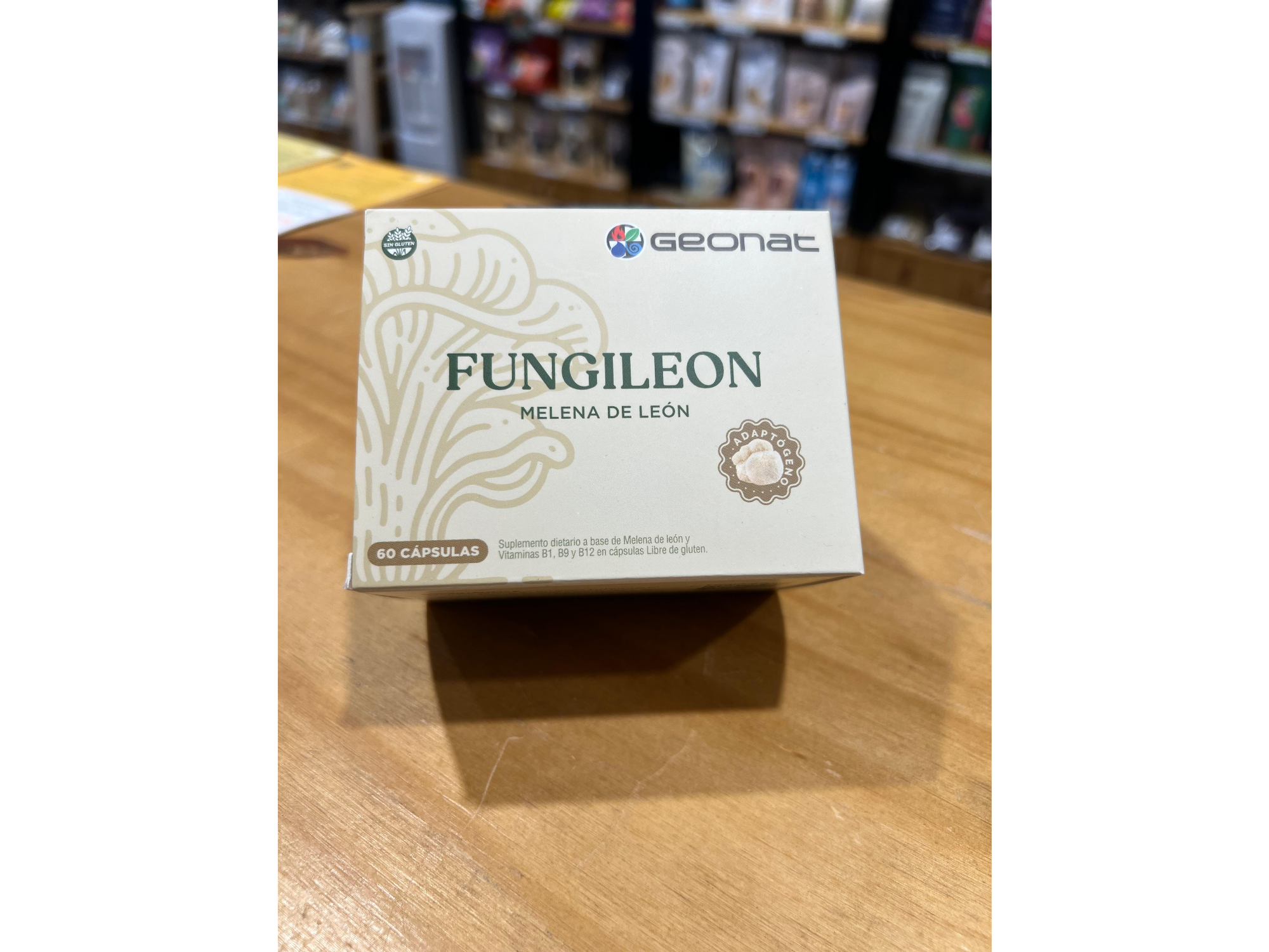 FUNGILEON MELENA DE LEÓN (Geonat)