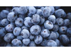 ARANDANOS