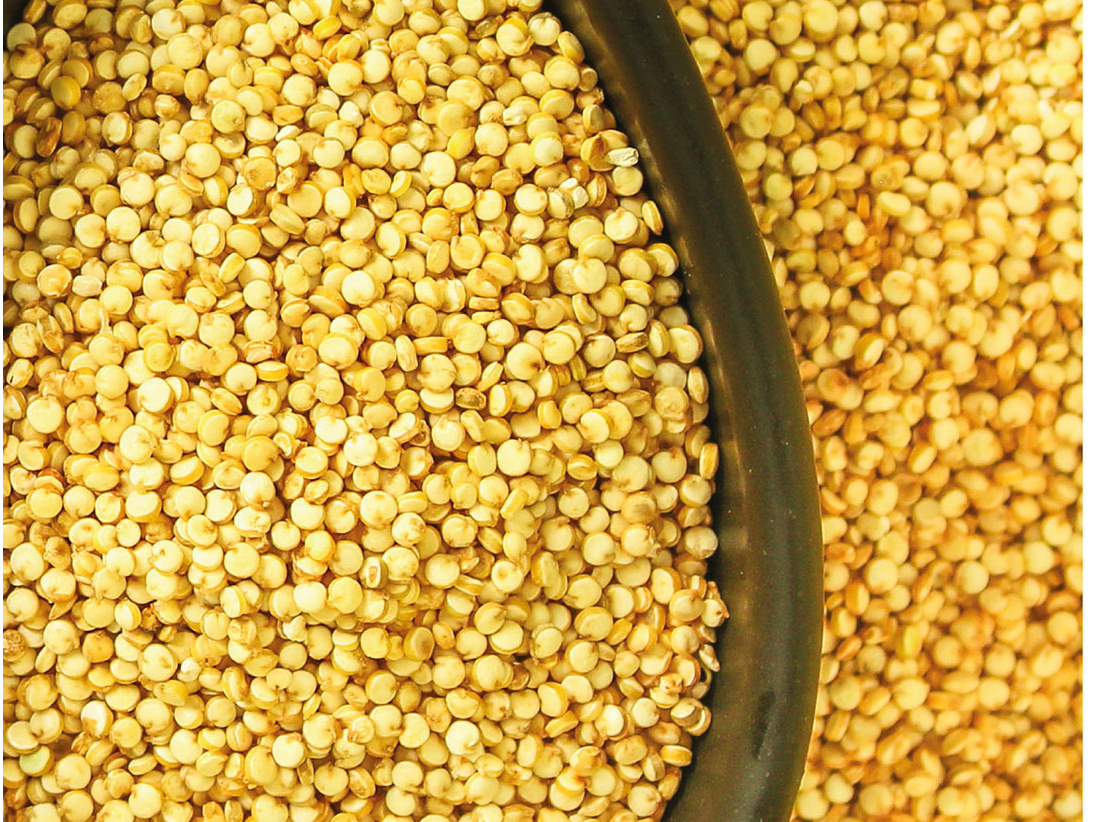 MIJO CONSUMO HUMANO X KG