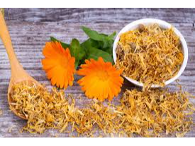 CALENDULA
