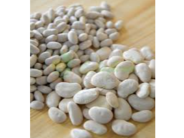 POROTO MANTECA X KG.