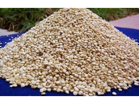 QUINOA REAL BOLIVIANA