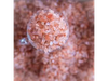 SAL DEL HIMALAYA GRUESA