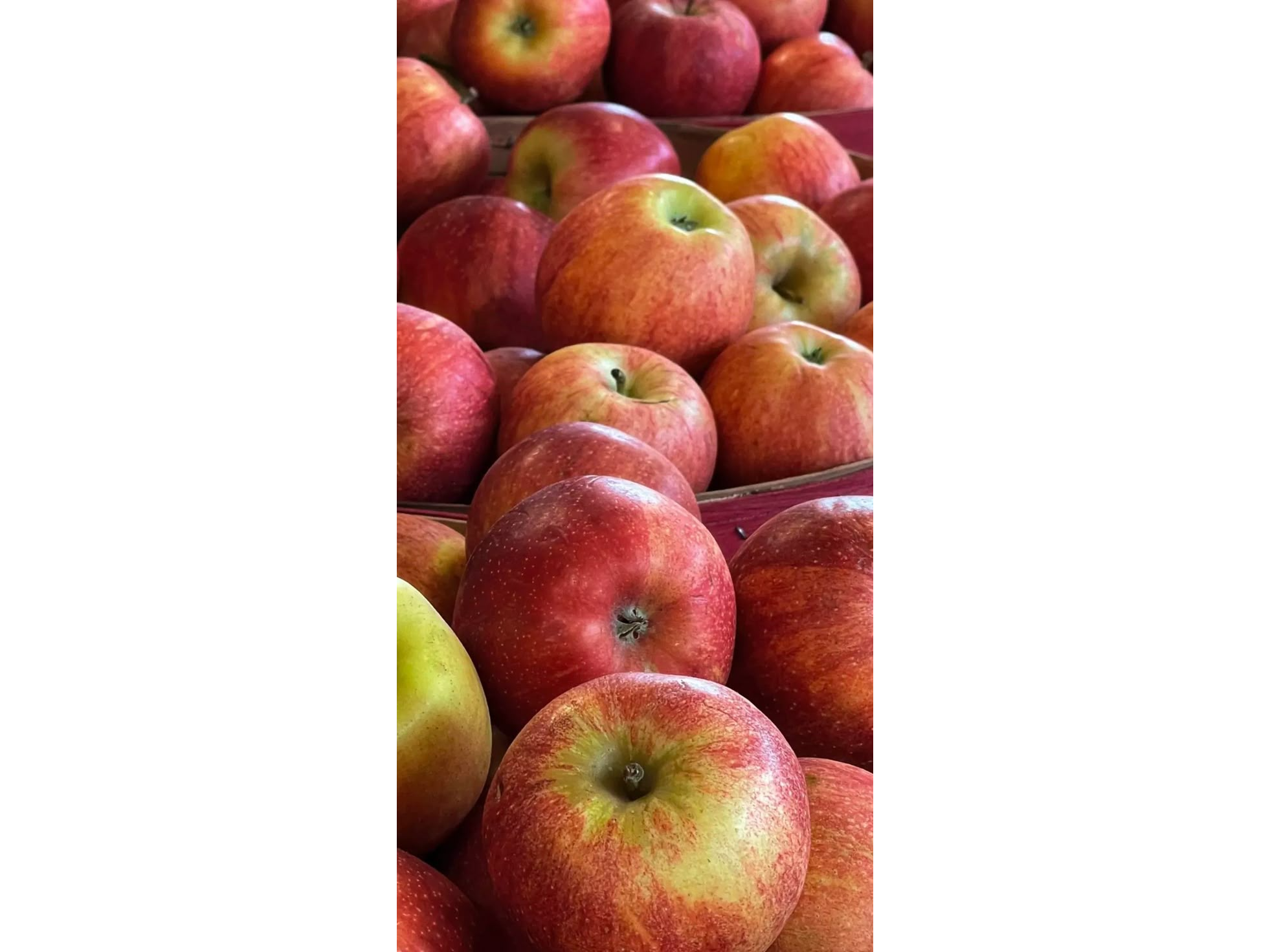 Manzana roja