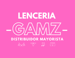 Logo Gamz Lenceria