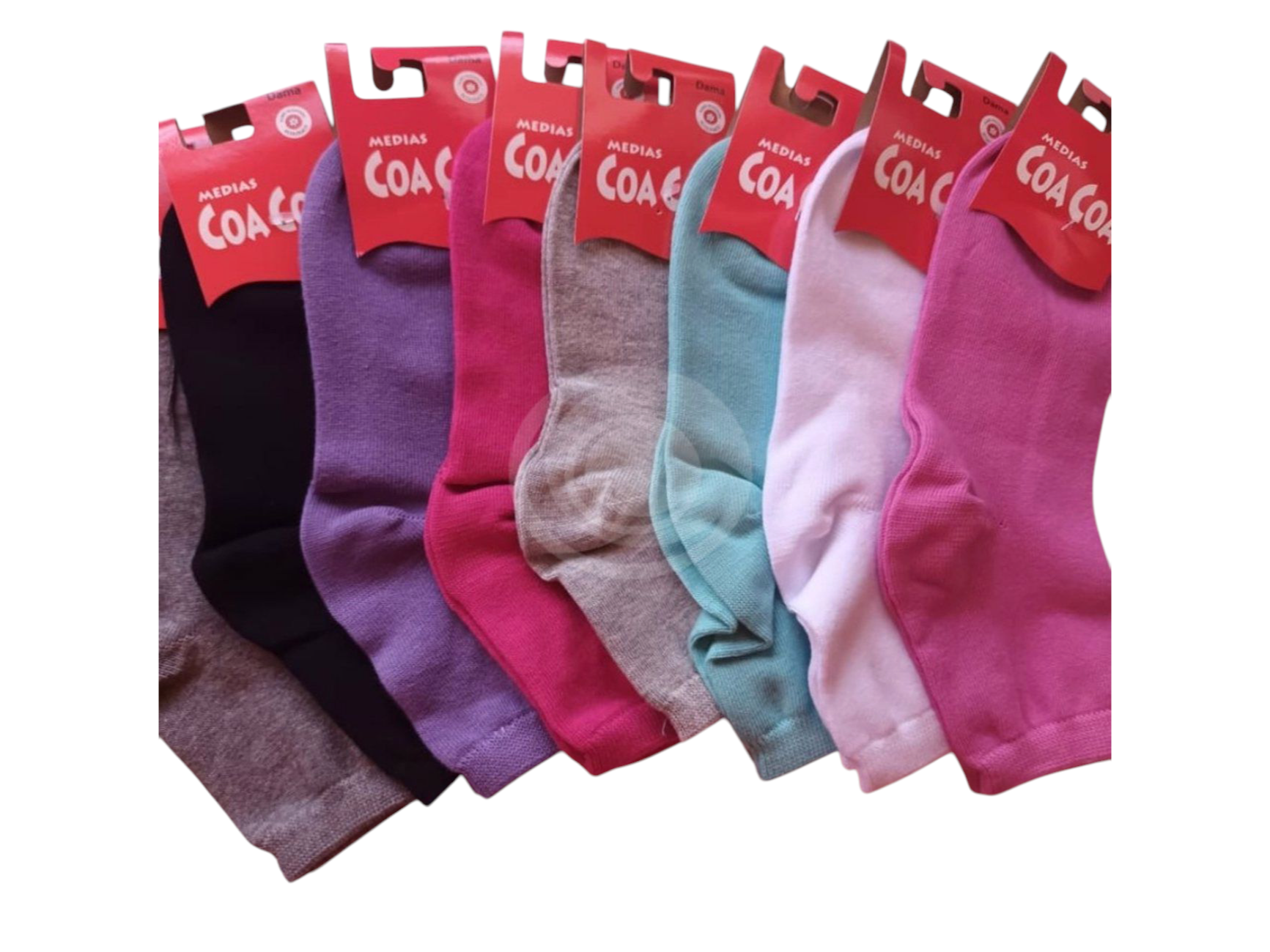 2540-TENNIS LISAS DAMA