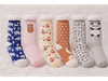 PMD-PANTUMEDIAS DAMA