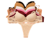 15J/4-CONJUNTO TAZA SOFT C/BASE ENCAJE