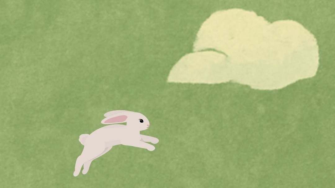MINI CRUNCH 🐇