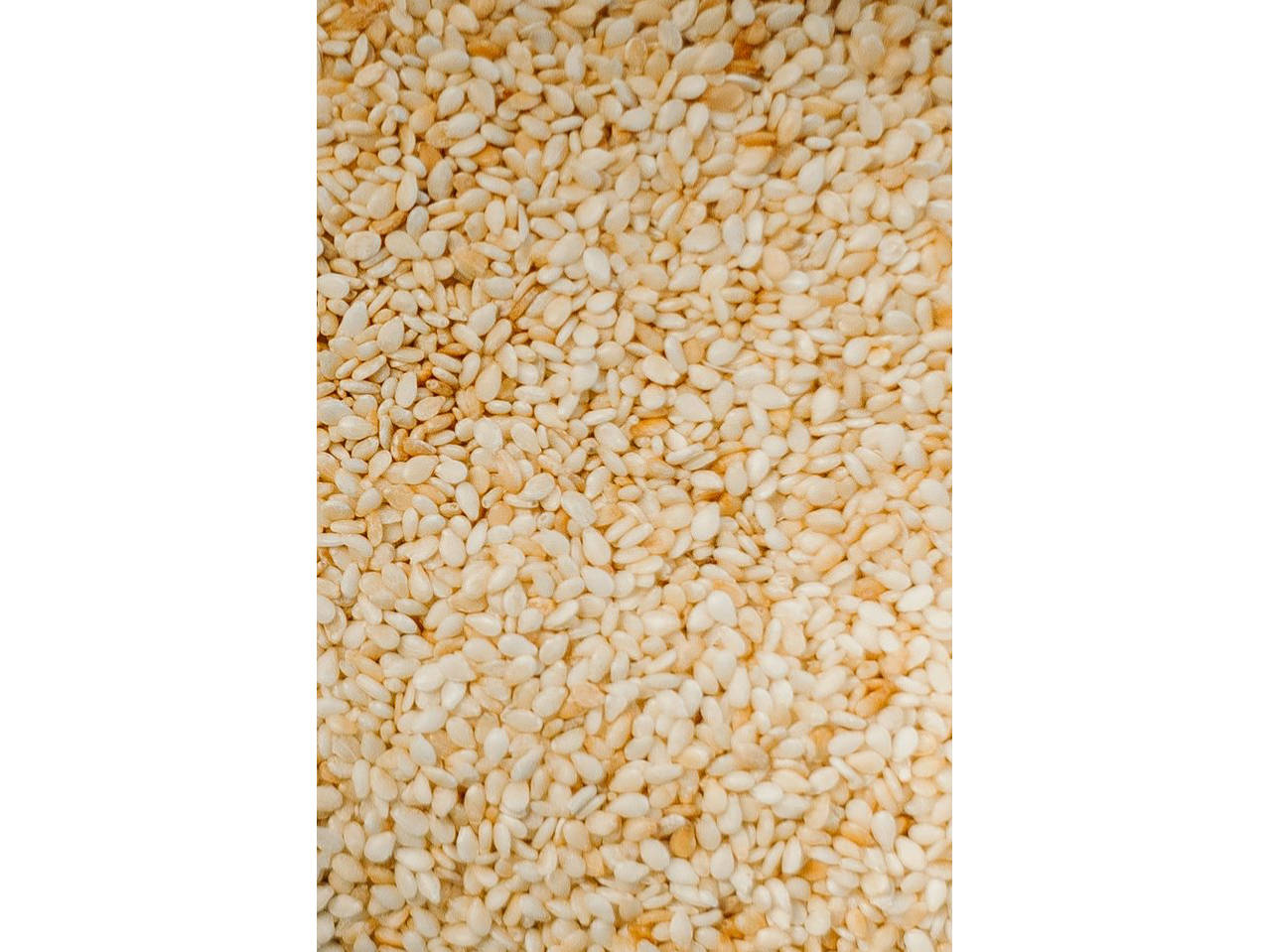 Semillas de Sesamo Blanco