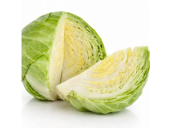Repollo blanco