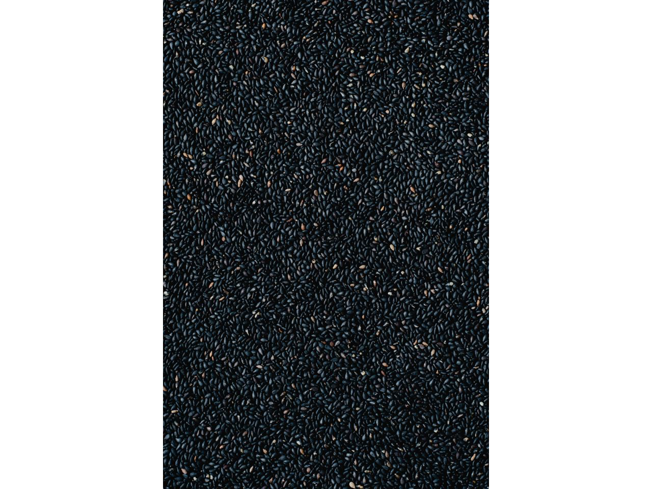 Semilla de Sesamo Negro
