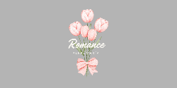 Logo Romance Perfumeria