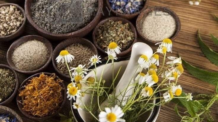 HERBORISTERÍA Y BOTÁNICOS