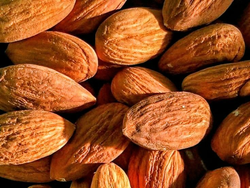 ALMENDRAS Non Pareil chica