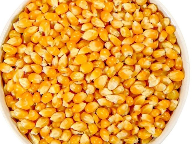 Maíz pisingallo x kg