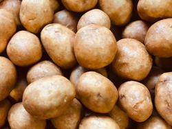 Maní Saborizado QUESO