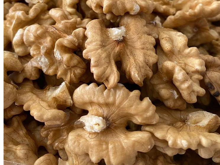 NUECES Mariposa blanca