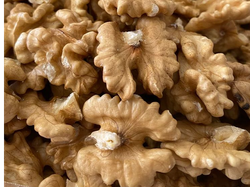 NUECES Mariposa blanca