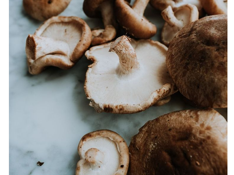 Hongos de pino (Bolletus)