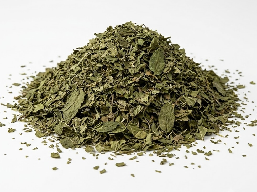 Menta