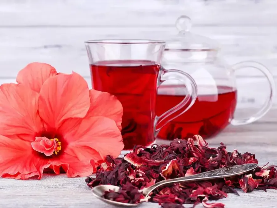 Hibiscus