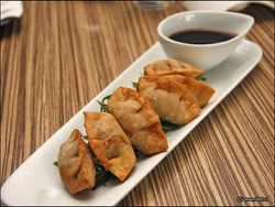 GYOZAS DE POLLO