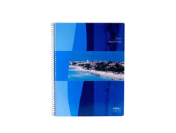 CUAD. AMERICA UNIVER. X 80