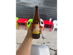 Paceña vidrio 440cc