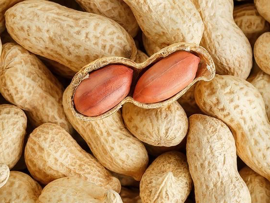Maní con Cascara