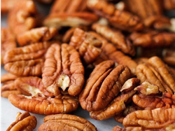 Nueces Pecan