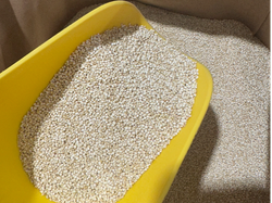 Semillas de Quinoa impotada